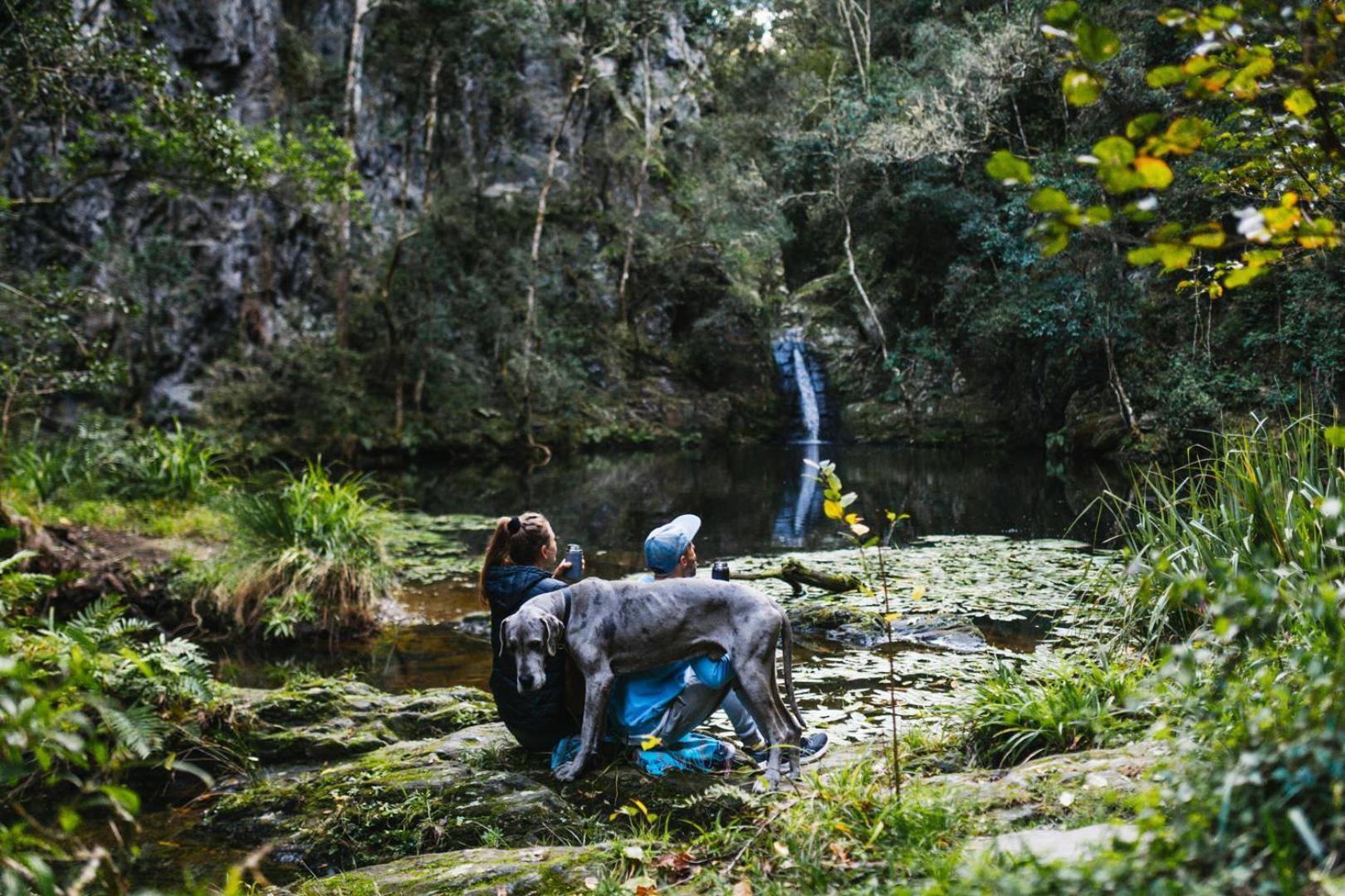 Вилла Moonshine On Whiskey Creek The Crags Экстерьер фото