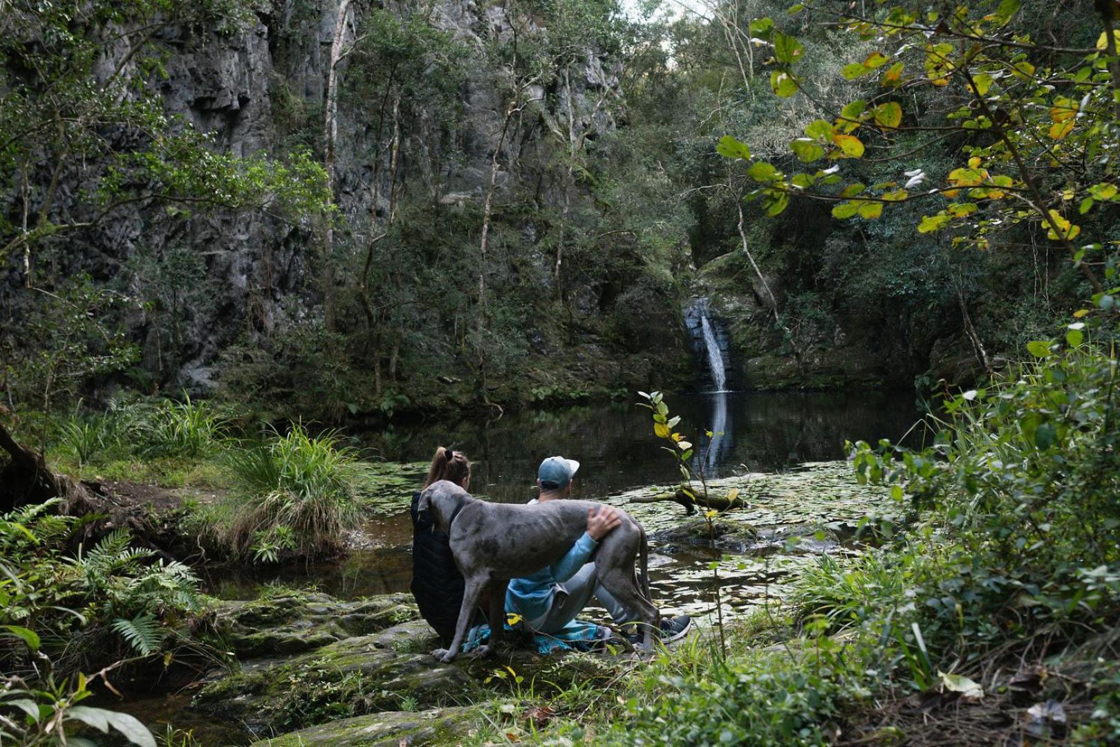 Вилла Moonshine On Whiskey Creek The Crags Экстерьер фото