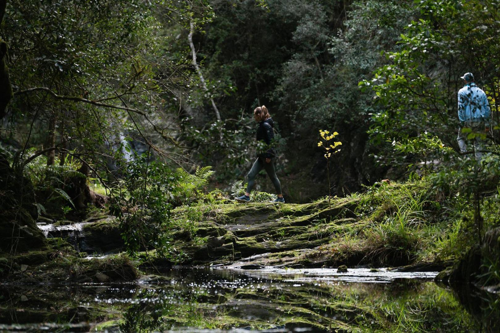 Вилла Moonshine On Whiskey Creek The Crags Экстерьер фото
